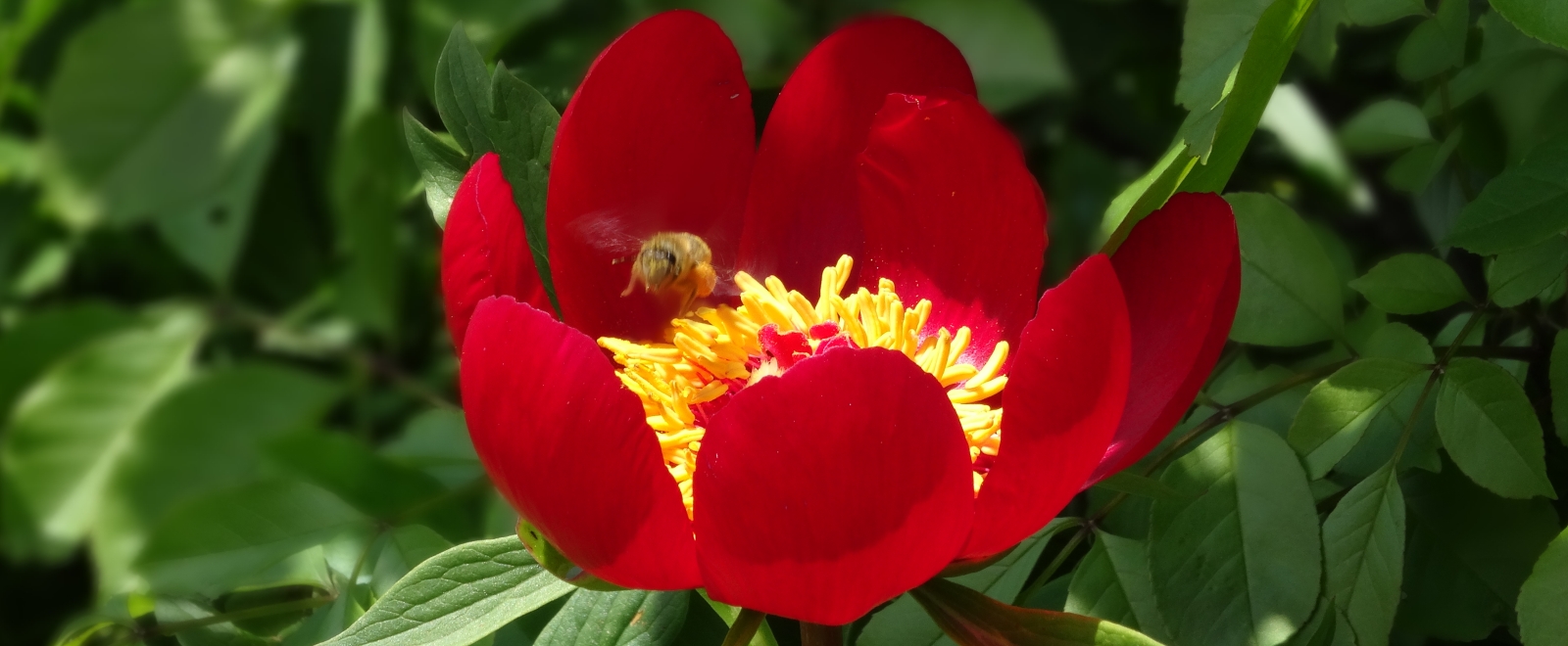 slider image 3